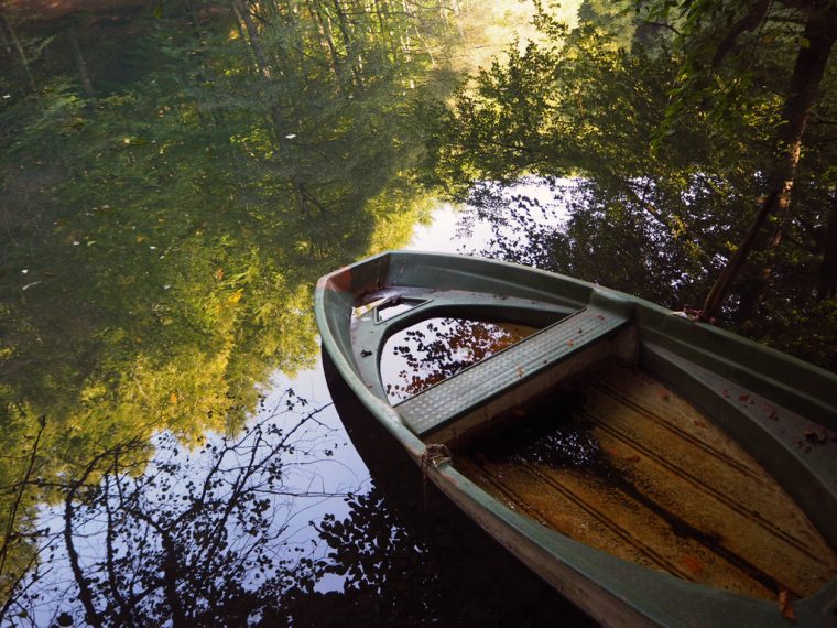 Yedigöller Kamp | Yedigöller Milli Parkı