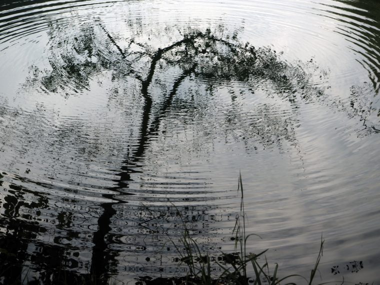 Yedigöller Kamp | Yedigöller Milli Parkı