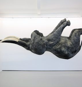 Daniel Firman - The Pill