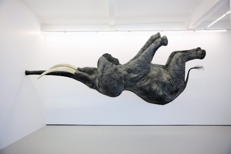 Daniel Firman - The Pill