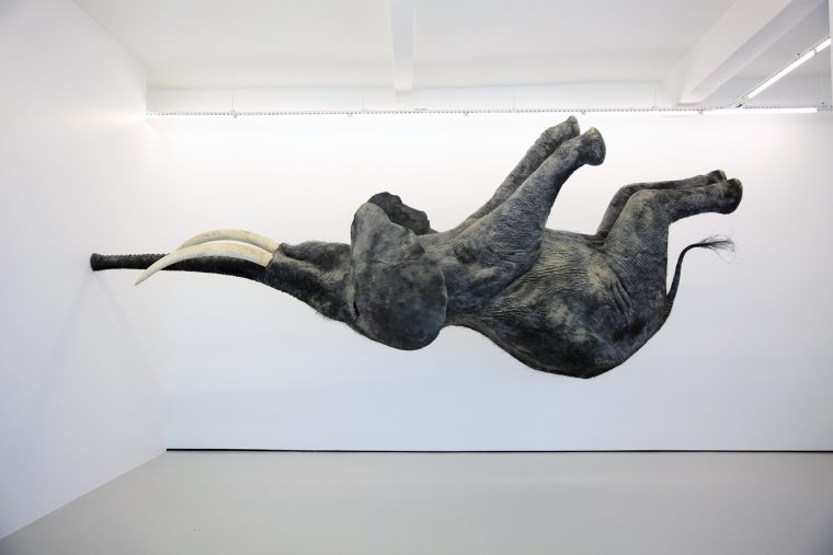 Daniel Firman - The Pill