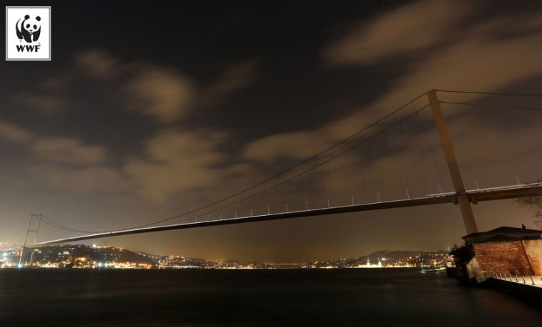 Bu Yıl Dünya Saati’nde İklim Mücadelesine Bir Işık Tut