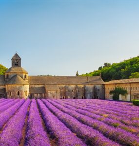 Bu Yaz Lavanta Tarlaları Arasında: Provence