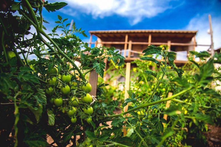 Kaş’ta bir Nefeshane!
