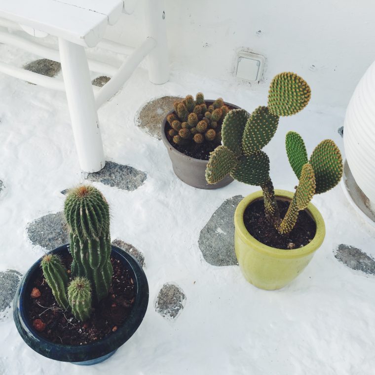 Mykonos Adası Tatili İçin İpuçları