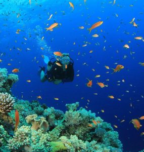 Kışın Deniz Altında Vakit Geçirilebilecek 5 Cennet