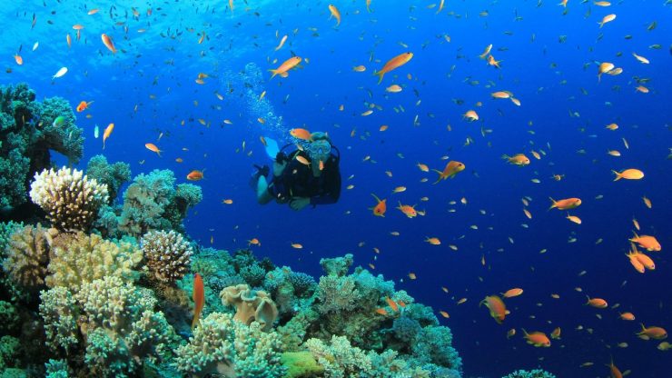 Kışın Deniz Altında Vakit Geçirilebilecek 5 Cennet