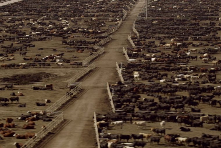 Sürdürülebilir Yaşam Film Festivali 2016 İçin 10 Film Önerisi