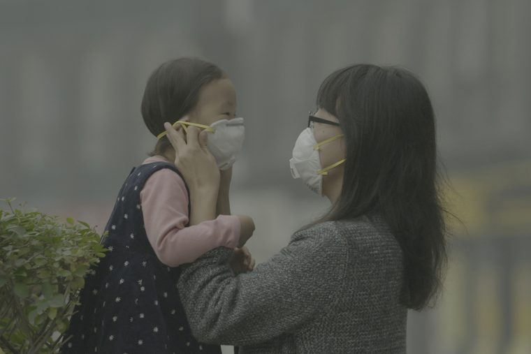 Sürdürülebilir Yaşam Film Festivali 2016 İçin 10 Film Önerisi