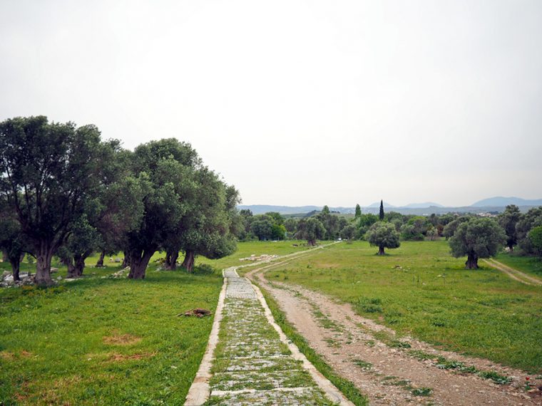 Sığacık - Teos Antik Kenti