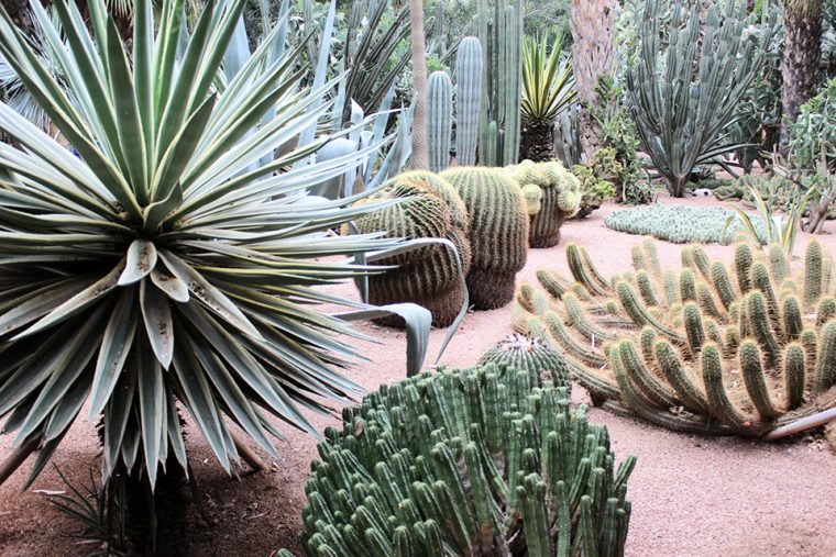 Otantik Bir Destinasyon