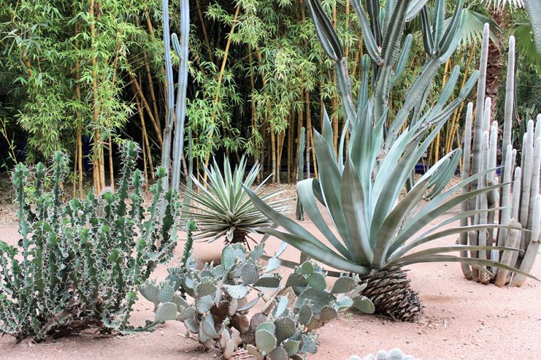 Otantik Bir Destinasyon