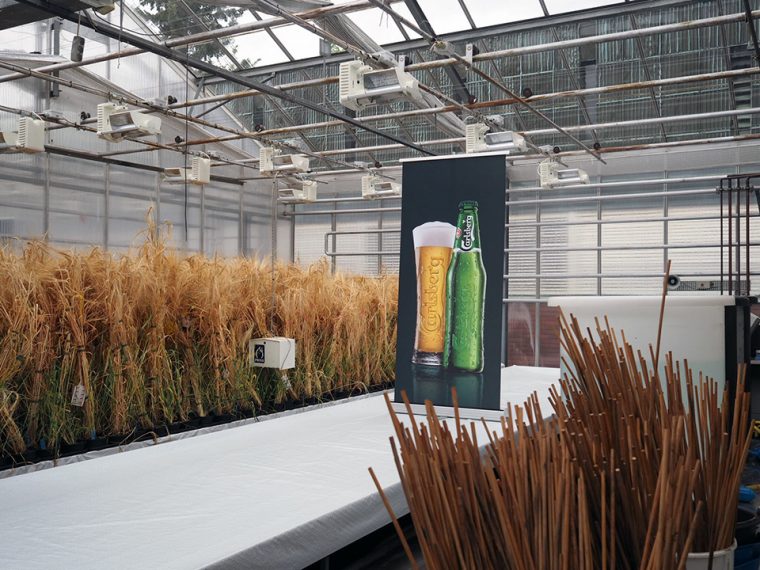 Gezilecek Yerler - Carlsberg Town