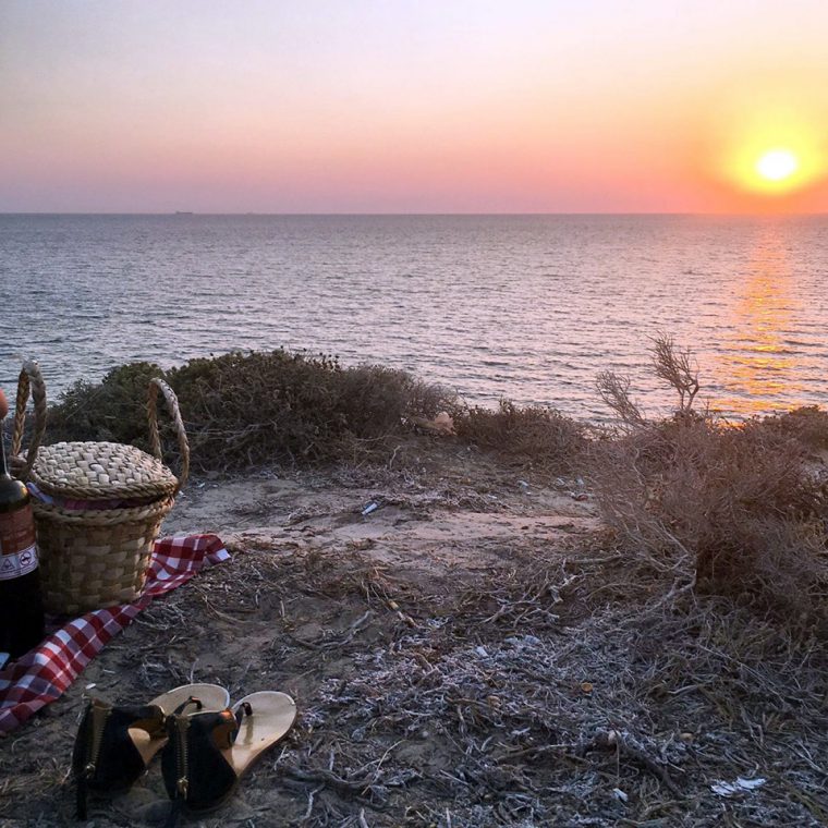 Türkiye Kamp Alanları | Ada Camping