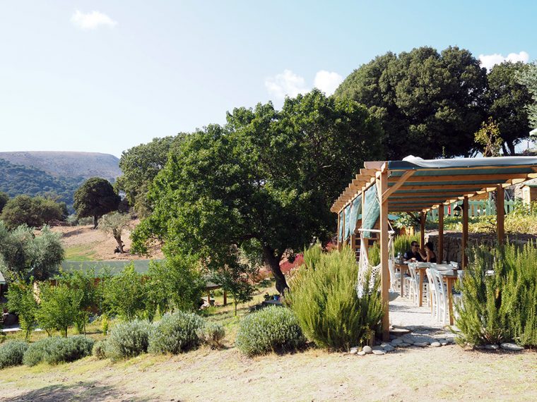 Gökçeada: Kekik Kokulu Rüzgarlı Ada | Soykan Çiftliği