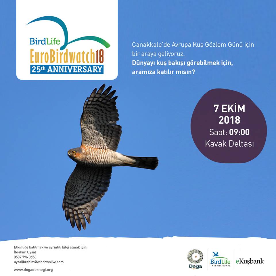 Birdlife international