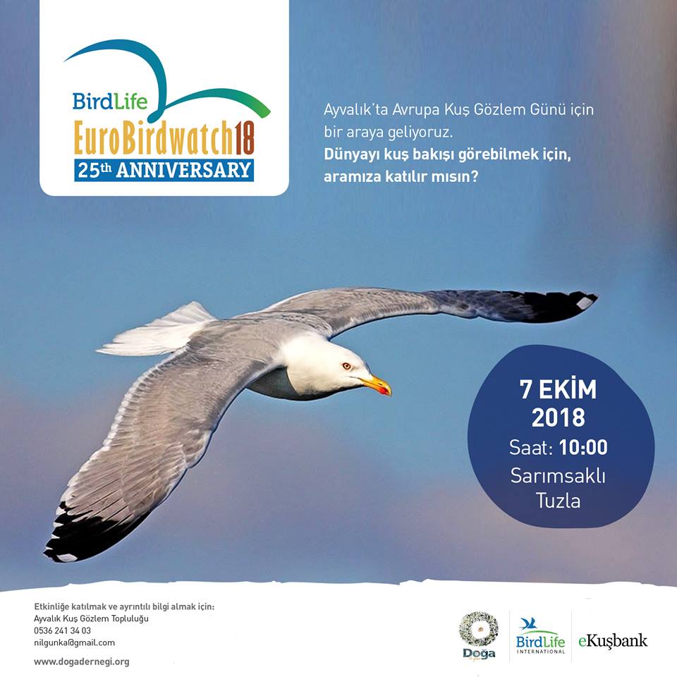 Birdlife international. Организация BIRDLIFE. BIRDLIFE International птицы. BIRDLIFE International в России. Экологические организация BIRDLIFE.