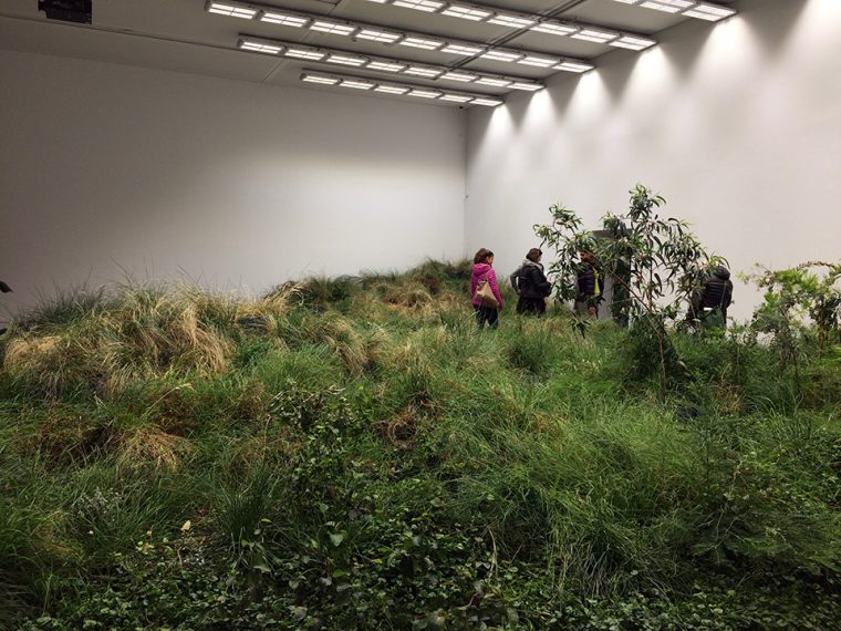 Venedik Mimarlık Bienali 2018 | Avustralya Pavilyonu, Giardini