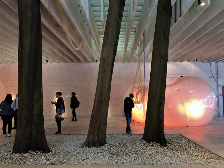 Venedik Mimarlık Bienali 2018 | Nordik Pavilyonu, Giardini