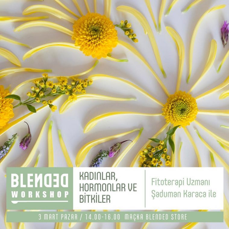 İstanbul Etkinlikler Mart 2019 | Blended Workshop