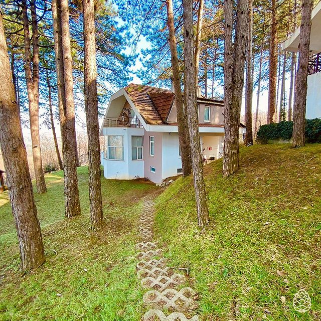 İstanbul’a Yakın Dağ Evi Önerileri DenemenLazım