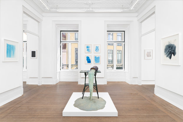 Jahn und Jahn / Artist: Heidi Bucher