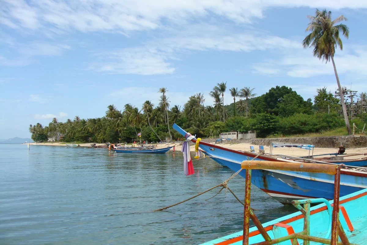 Koh Samui kıyısında geleneksel tekneler ve palmiyeler. Fotoğraf: fallix