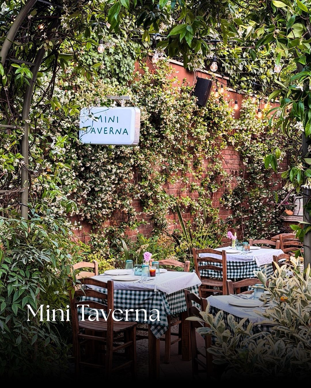 Mini Taverna’nın yeşillikler içindeki bahçesi ve kareli örtülü masaları.