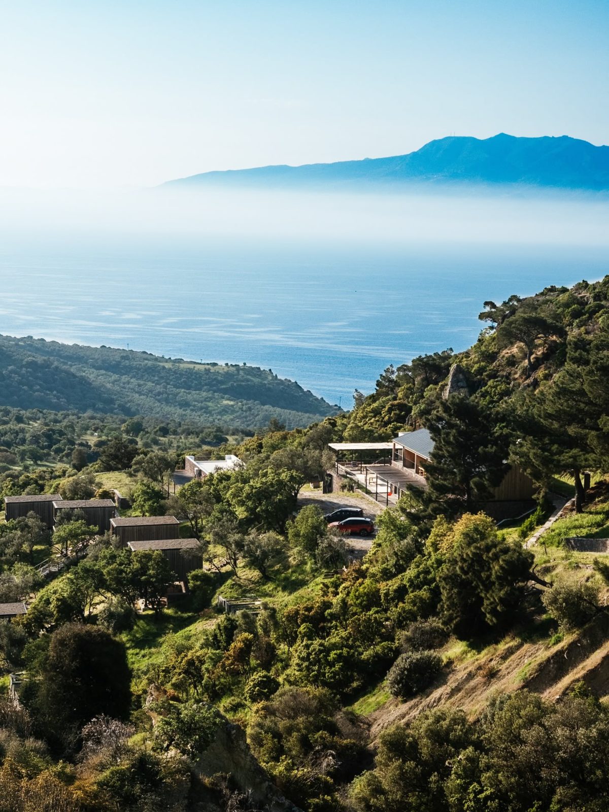Arazi Assos